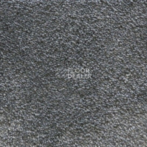Ковролин Radici Lord Ardesia 330C фото 1 | FLOORDEALER